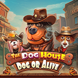 Cek RTP Slot Online, RTP Gacor, RTP Slot Maxwin & RTP Jackpot The Dog House – Dog Or Alive